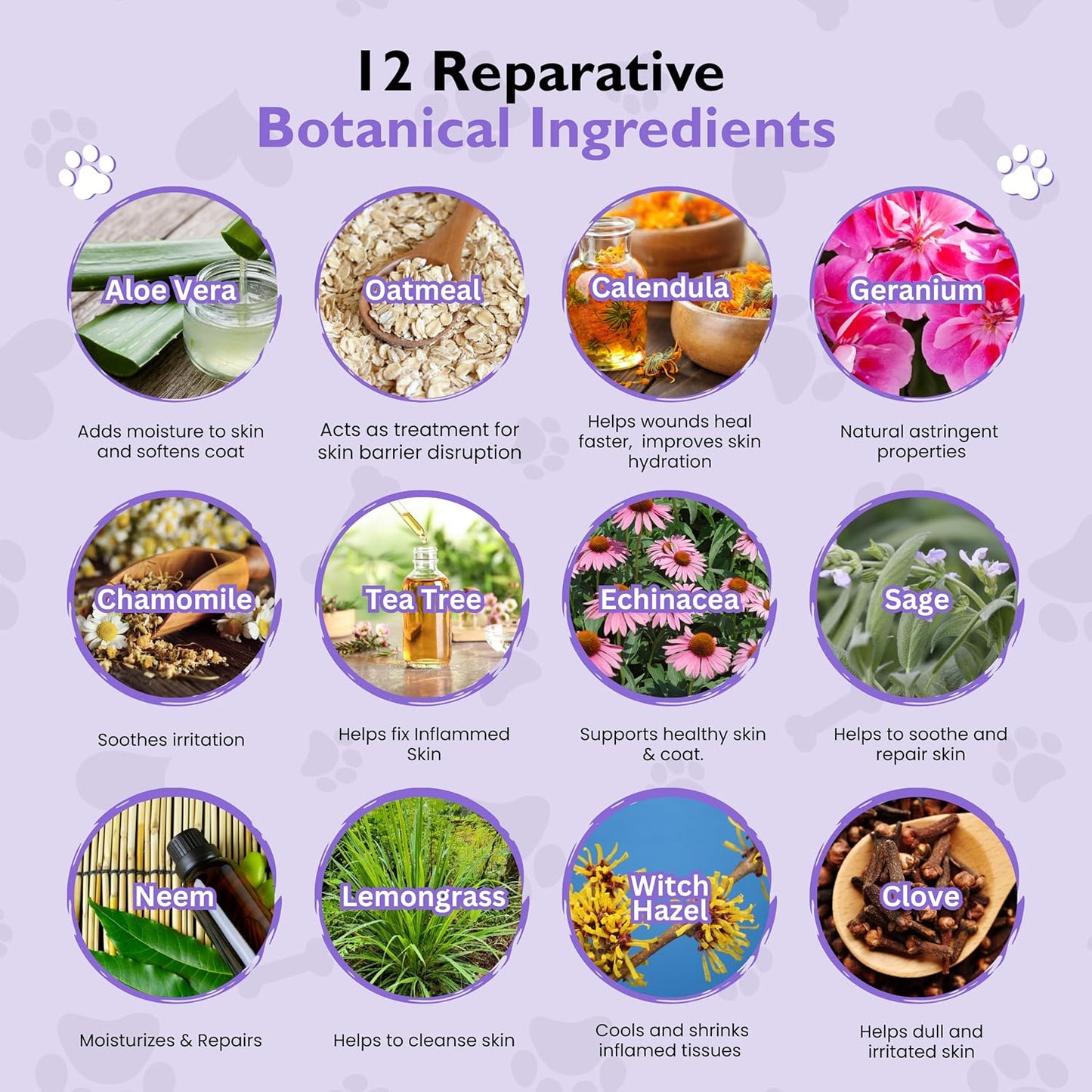 Dog Skin Spray & Grooming Wipes Bundle - Anti-Itch Spray with Aloe + Paw, Ear & Butt Dog Wipes (12-Pack) Gentle First Aid & On-The-Go Cleaning