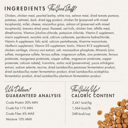 Fromm Healthy Weight Gold Dry Cat Food - Weight Management Cat Food for Adult & Senior Cats - Chicken Recipe - 4 lb