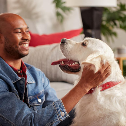 Milk-Bone Original Dog Treats Biscuits for Large Dogs, 10 Pounds (Packaging May Vary)