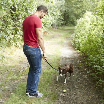 Franklin Pet Supply FETCH-IT LAUNCHER Tennis Ball Thrower