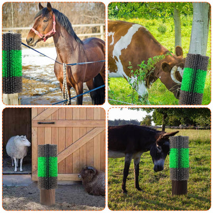 4PCS Livestock Scratch Brushes, Green (Including 304 Stainless Steel Screws, Best Firm Bristle Brushes, Suitable for Horses, Cows, Sheep, Pigs, Deer etc.)