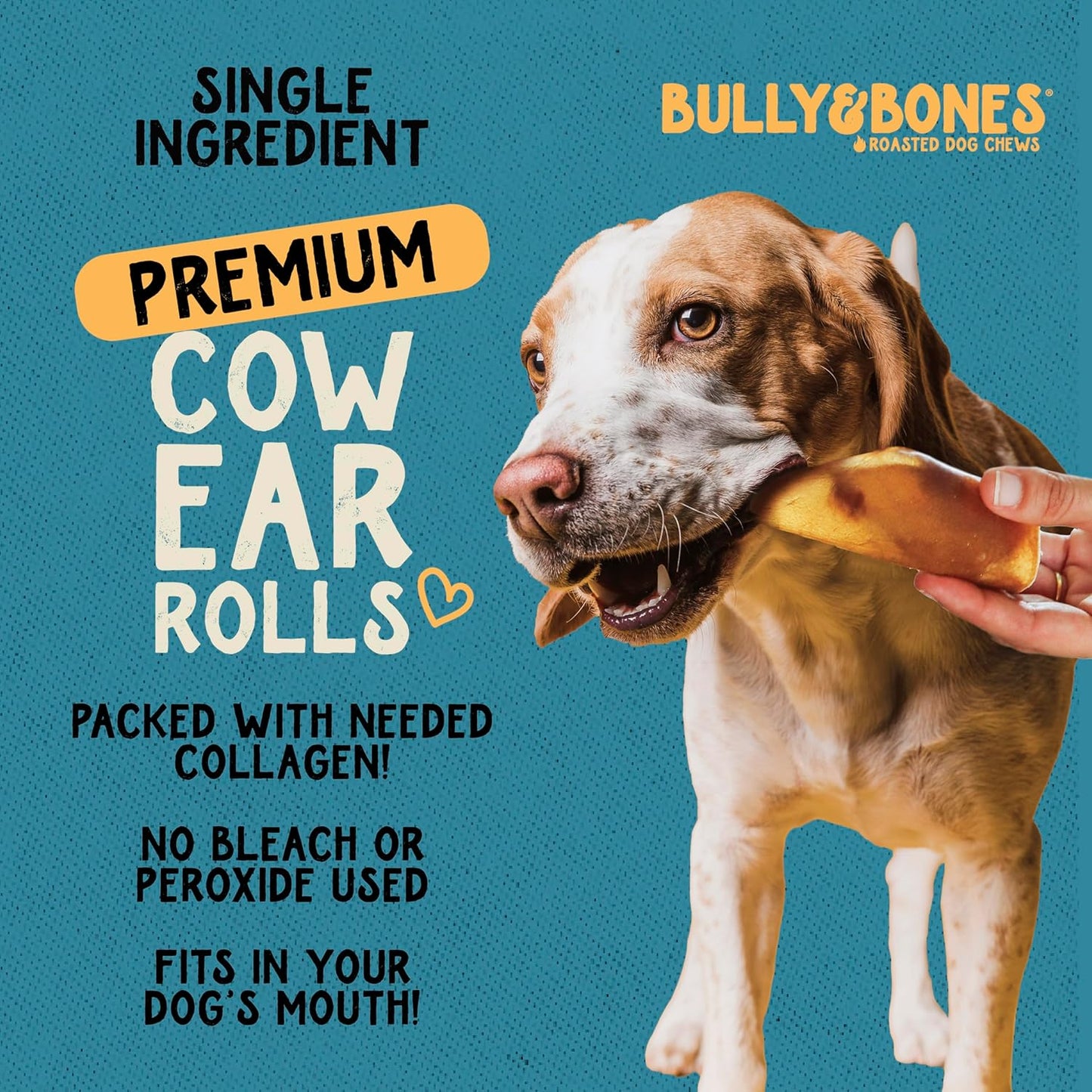 Bully & Bones 6 Inch Cow Ear Rolls (12 Pack) for Dogs. Collagen and Protein Rich, Healthy Single-Ingredient Beef chew Treats Crafted to Stimulate Your Dog’s Taste Buds. 6” Cow Ear Rolls.