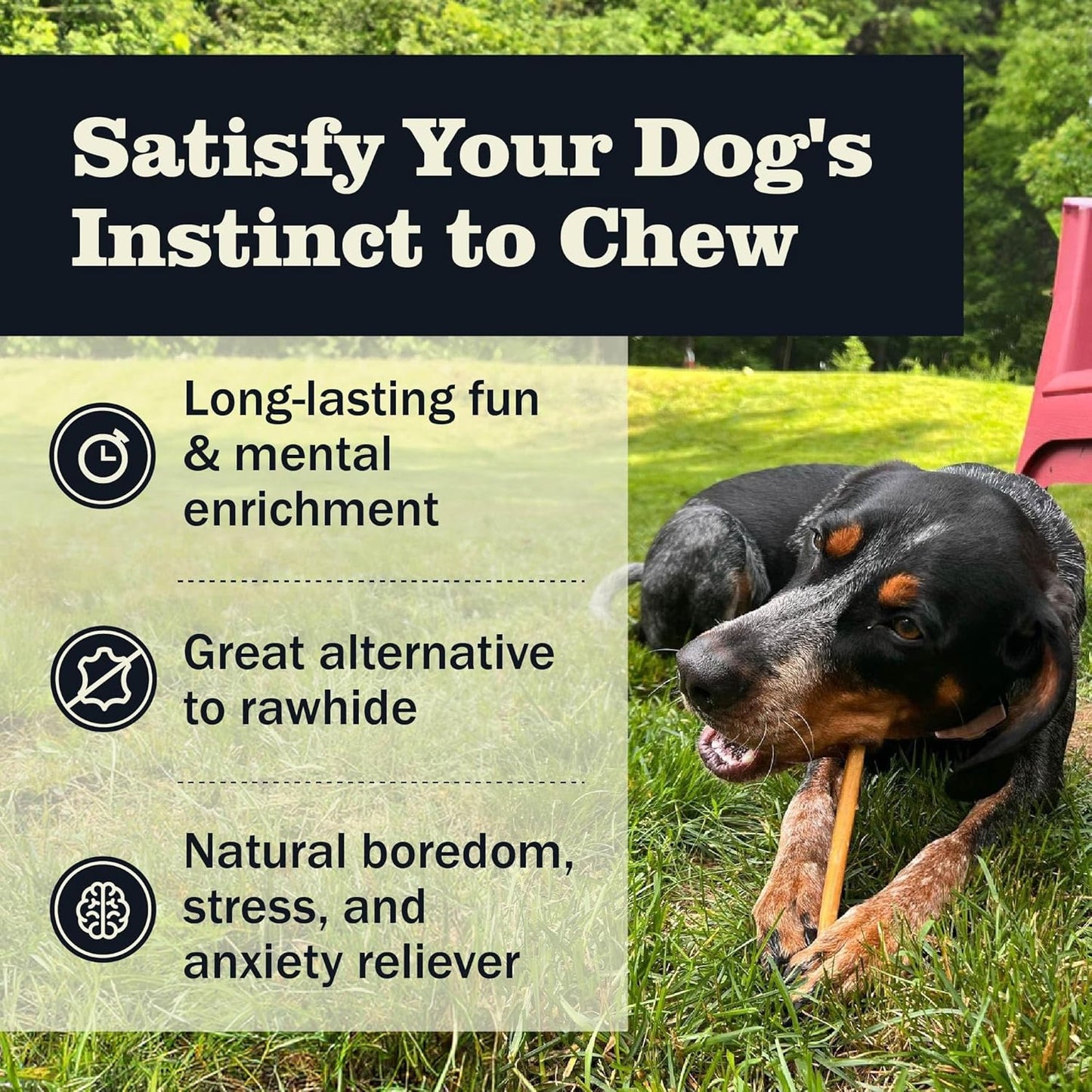 Redbarn Pet Products All Natural 5"-8" Bully Sticks for Small & Large Dogs - Healthy Long Lasting Chews Variety Party Pack - 100% Beef Single Ingredient Low Odor Rawhide Free Dental Treats - 8 oz Bag