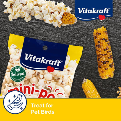 Vitakraft Mini-Pop Corn Cob Bird Treat 6 Ounce (Pack of 1)