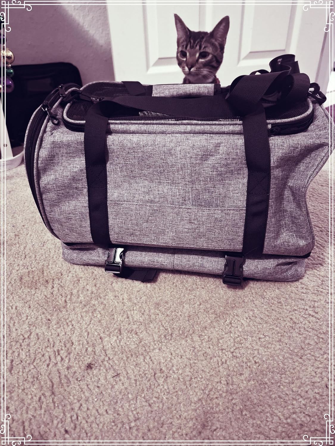 KJ Lightweight Durable Pet Carrier for Small Dogs & Cats up to 20 lbs - Grey Vinyl Travel Carrier with Zipper Compartments, Airport-Approved