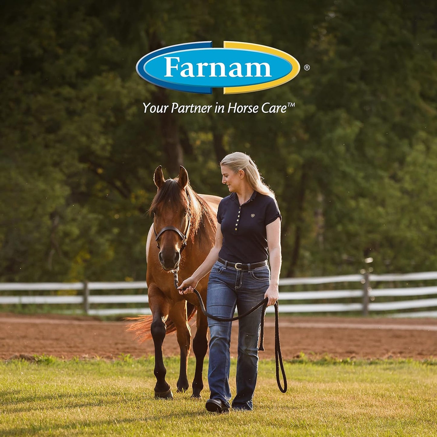 Farnam Leather New Easy-Polishing Glycerine Saddle Soap and Leather Saddle Cleaner, Protects and Preserves Leather, Cleans, Conditions and Polishes, 64 Oz.