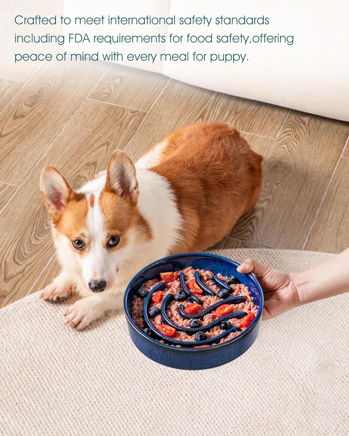 vancasso Slow Feeder Dog Bowl, 1.5 Cup Ceramic Slow Feeding Food Dish for Small and Medium Breed, Puzzle Dog Food Bowl for Fast Eater, Blue