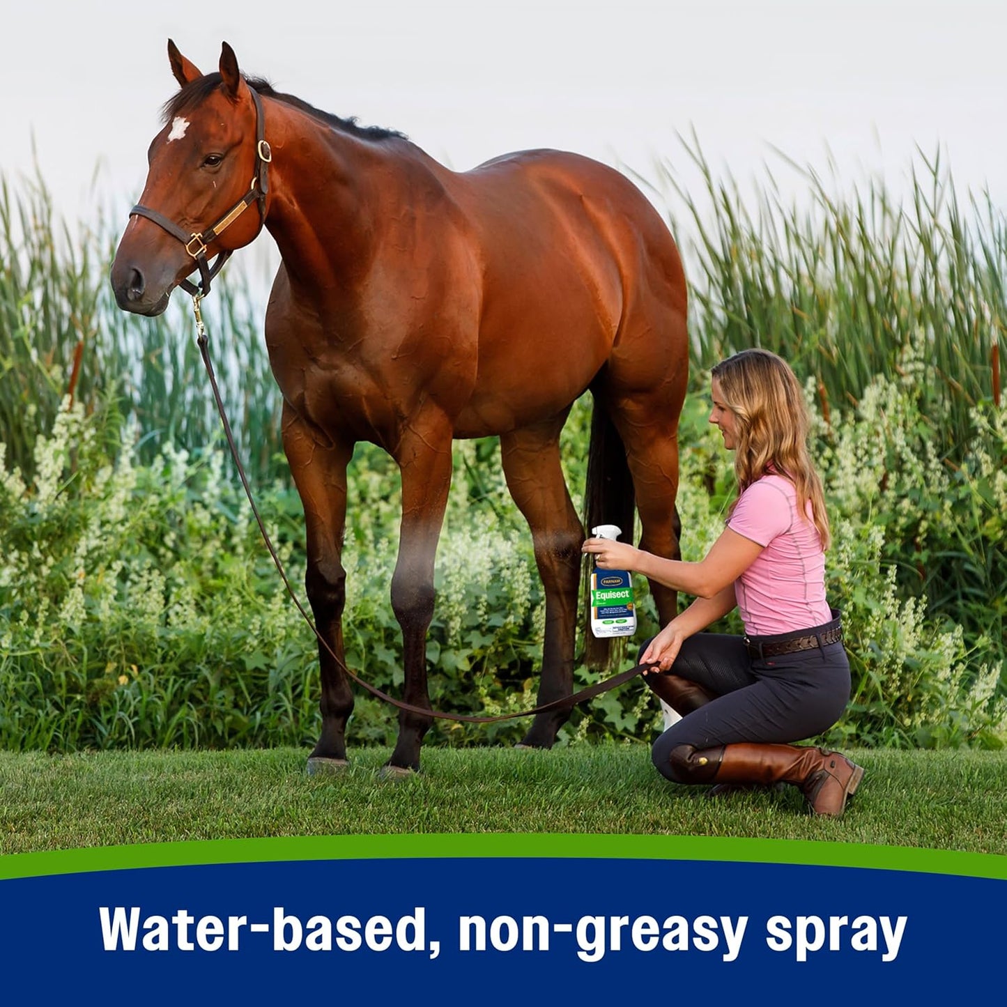 Farnam Equisect Water-Based Botanical Fly Repellent with Herbal Scent for Horses, Dogs and Cats, 32 Ounces