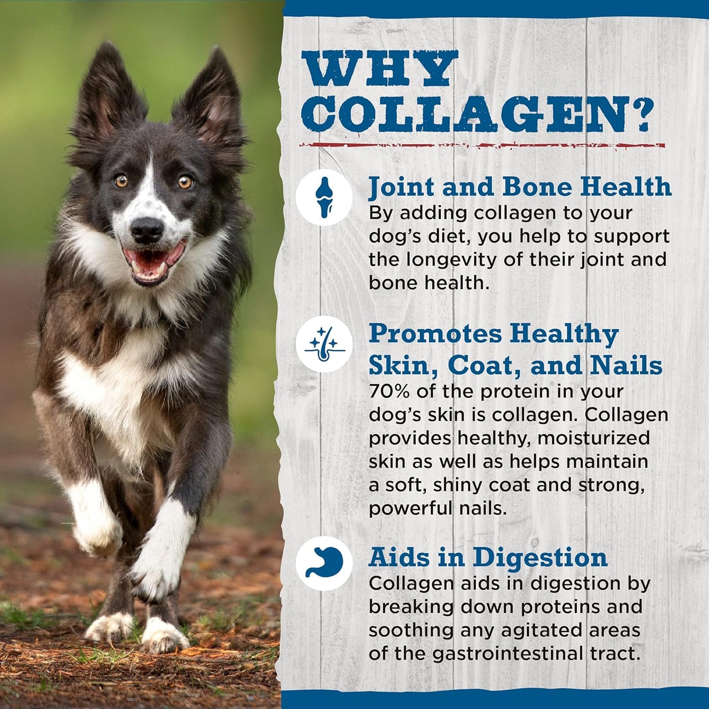 Best Bully Sticks Peanut Butter Beef Cheek Treats - Large 4 Count (Pack of 1) - All-Natural, Collagen-Rich, Rawhide Alternative