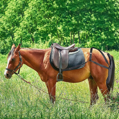 Large Medium Small Horse Manure Catcher Bag, Waterproof Equine Diaper Horse Poop Storage Bag, Outdoor Parade/Farm Pony Muck Catching Tool(Medium)
