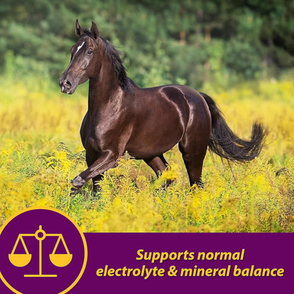 Farnam Horse Health Apple-Dex Apple Flavored Electrolytes for Horses 5 pound