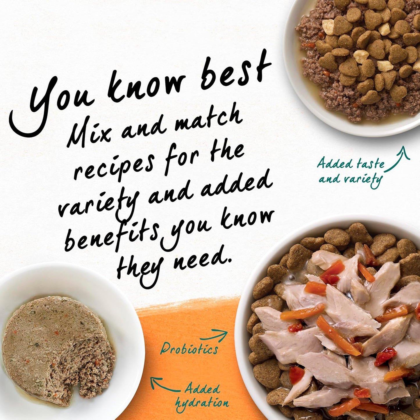 Purina Beyond Grain Free White Meat Chicken and Egg Recipe Natural Cat Food High Protein Cat Food Dry Formula - 5 lb. Bag