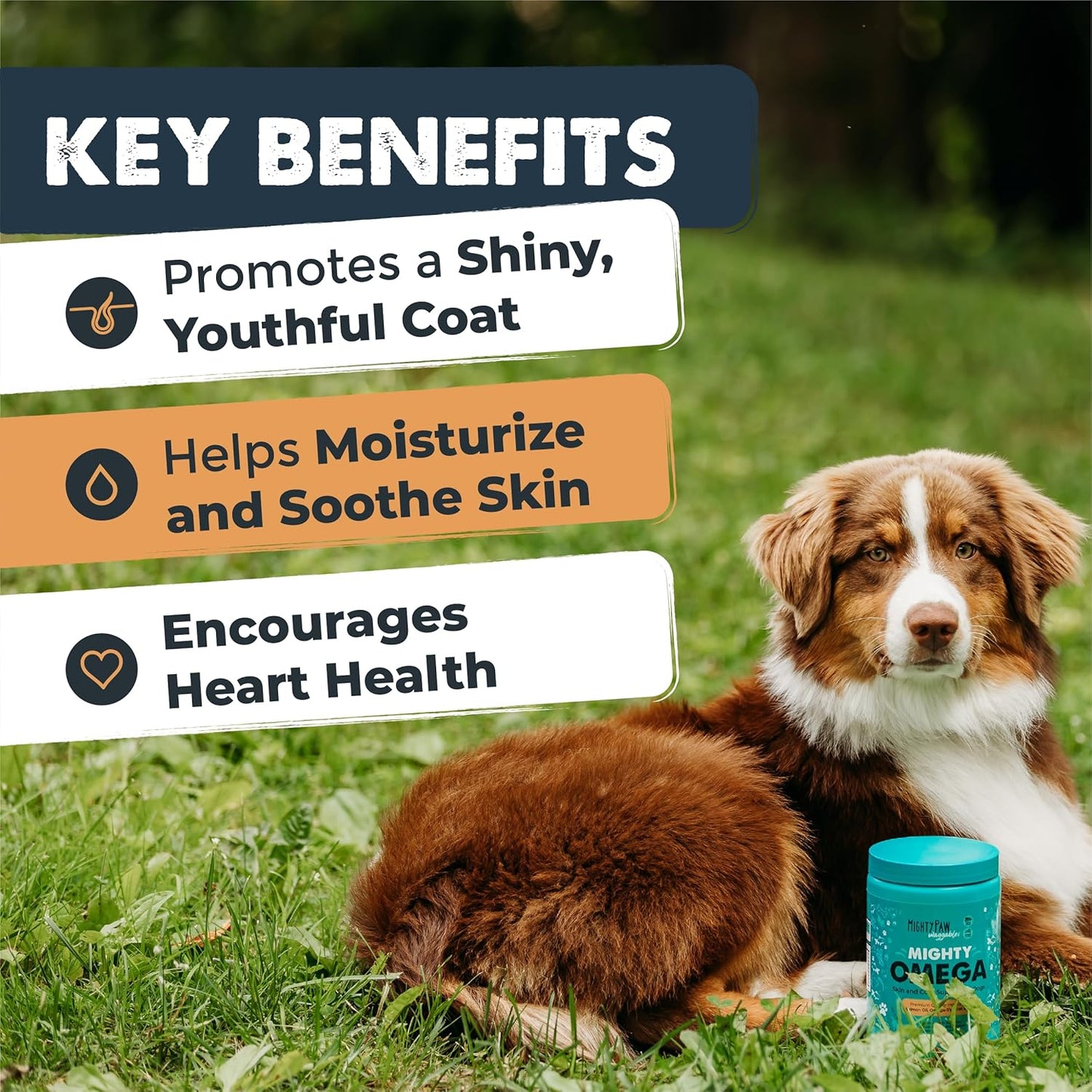 Mighty Paw Waggables Mighty Omega (Made in The USA, 120 Count) | Omega 3 Fish Oil Chew for Dogs. Salmon Flavor Skin and Coat Supplement. Soft Chew Fish Oil for Dogs - DHA & EPA, Bacon Flavor