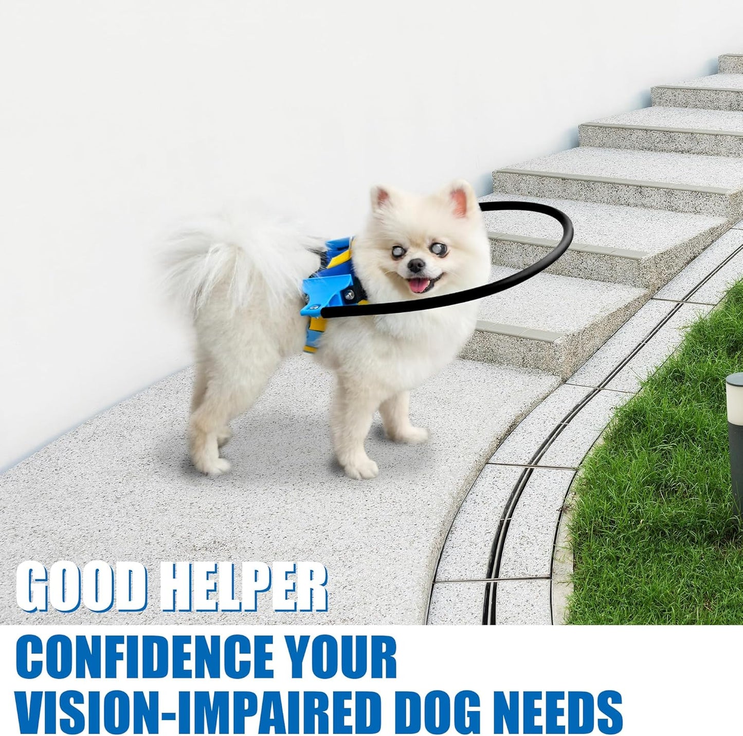 Blind Dog Halo Harness, Protective Halo Dog Collar for Blind Dogs, Confidence Building Harness Guiding Device