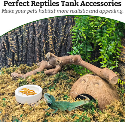 VCEPJH Snake Climbing Branch, 2Pcs Reptile Wood Natural Cork Log and 4 Pcs Reptile Plants, Climbing Wood Branch Terrarium Hanging Fake Plant Leaves for Snake Leopard Gecko Lizard Chameleon