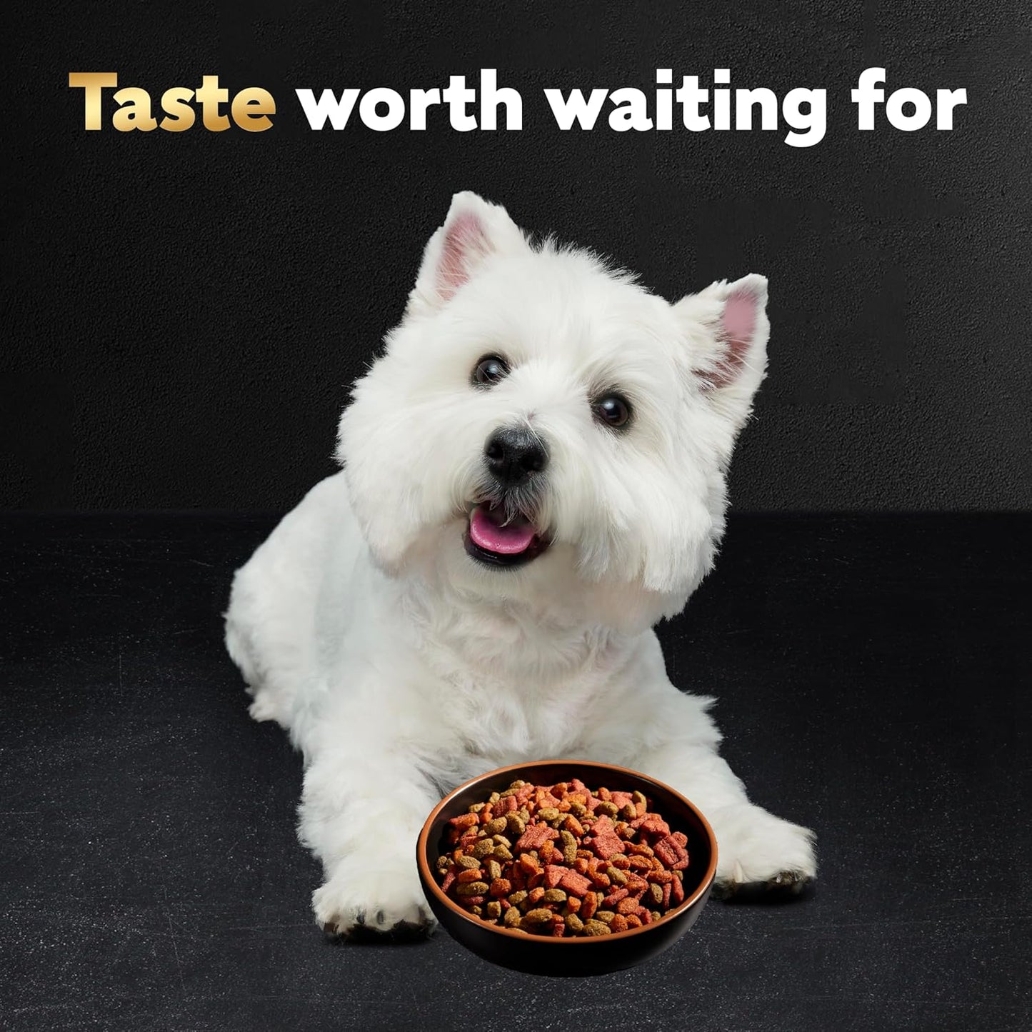 Cesar Small Breed Dry Dog Food Rotisserie Chicken Flavor and Spring Vegetables Garnish, 12 lb. Bag