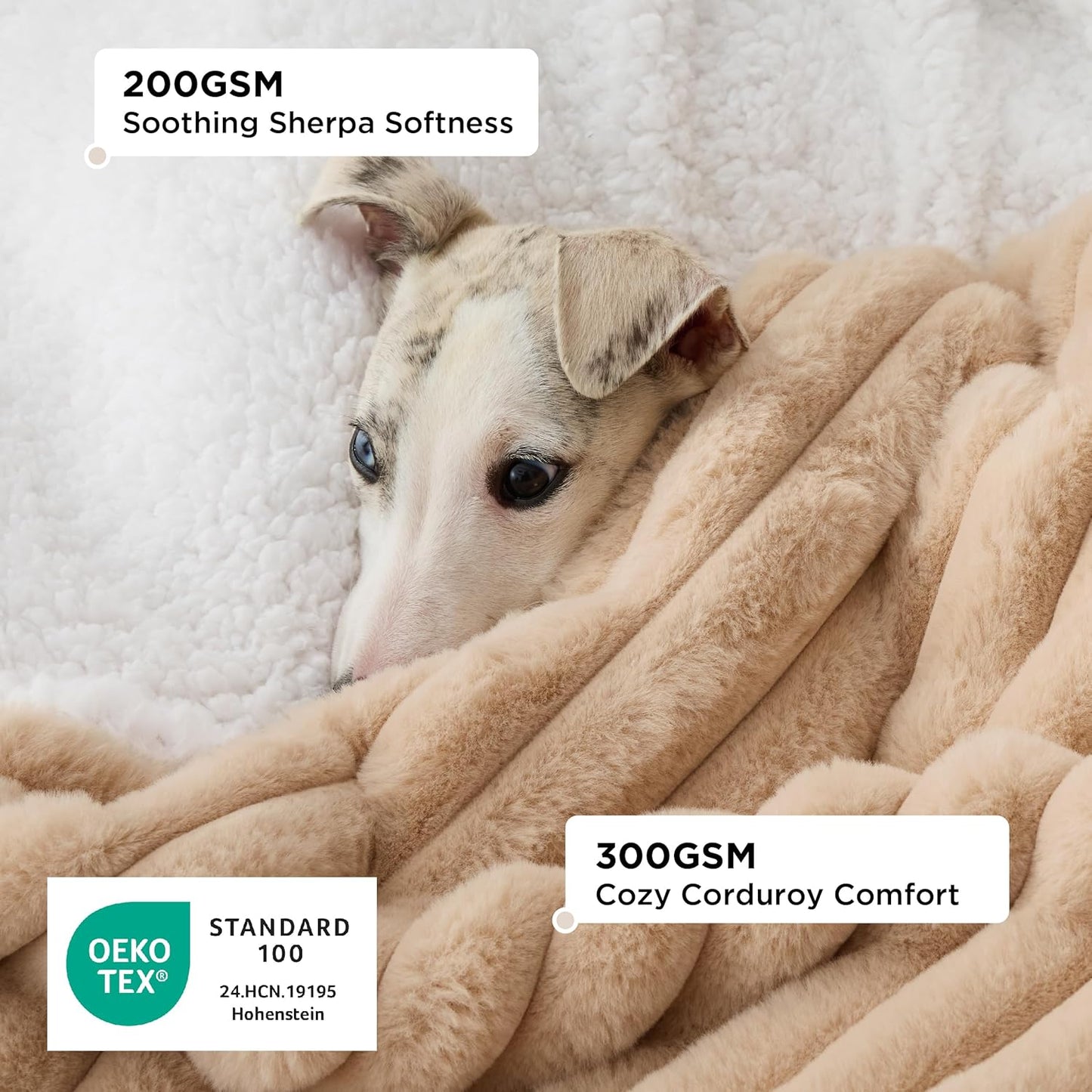 LE SURE Foldable Human Dog Bed 3 in 1 Taupe 68in with Bedsure Waterproof Dog Blankets for Large Dogs 50"x60", Tuscan Beige