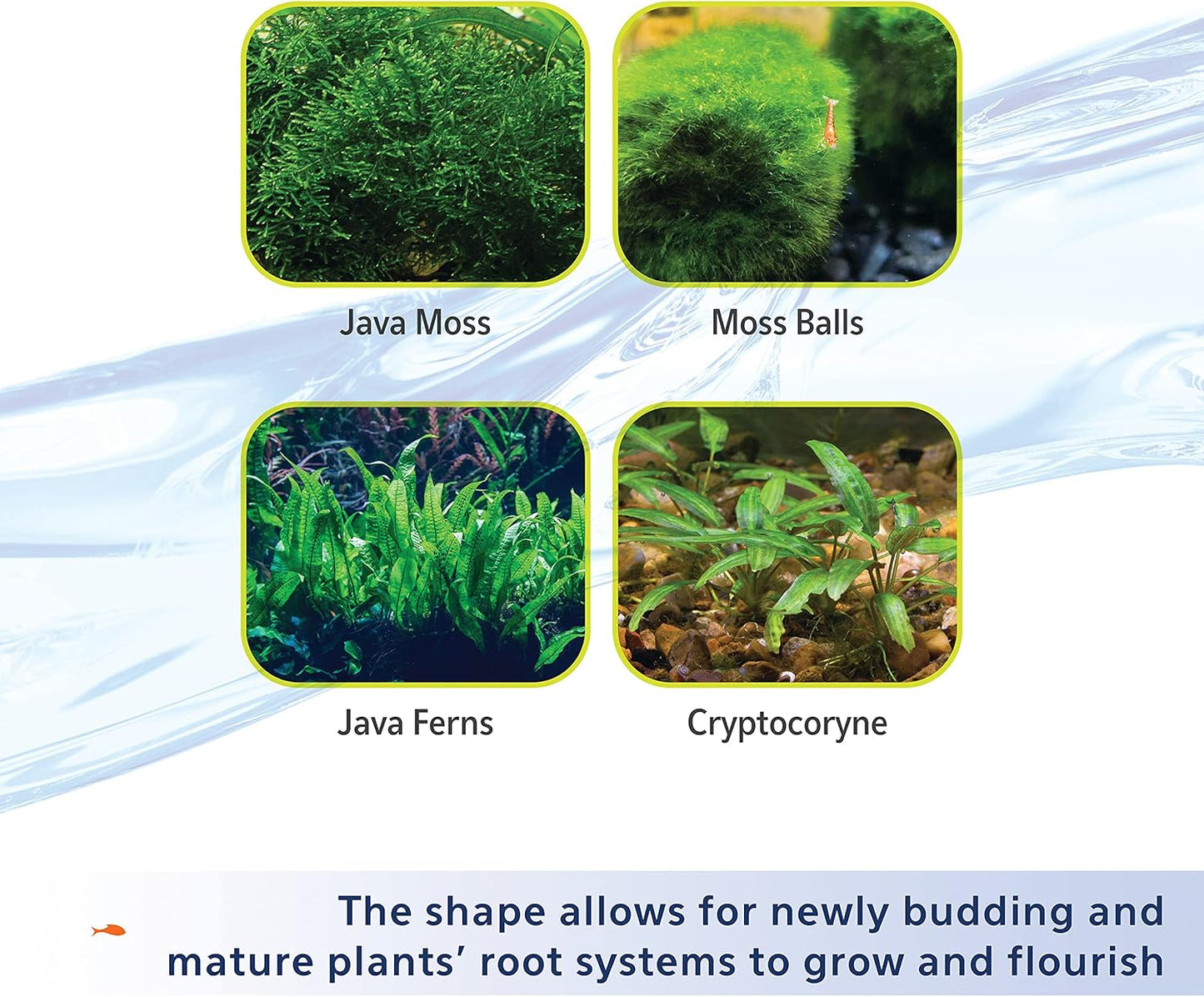 Aqueon Plant and Shrimp Aquarium Substrate, Aqua Soil for Fish Tanks, 5 Pounds