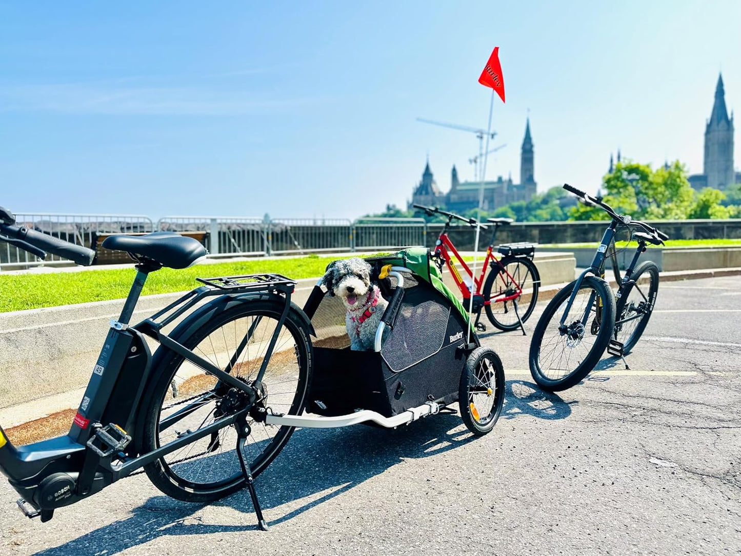 Burley Tail Wagon® Pet Bike Trailer