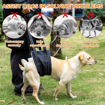 Dog Lift Harness, Adjustable Comfortable Dog Sling with Handle for Large Dog Knee Brace for Torn ACL Hind Leg, Weak Rear Legs, Helps Senior, Injured, Disabled,S