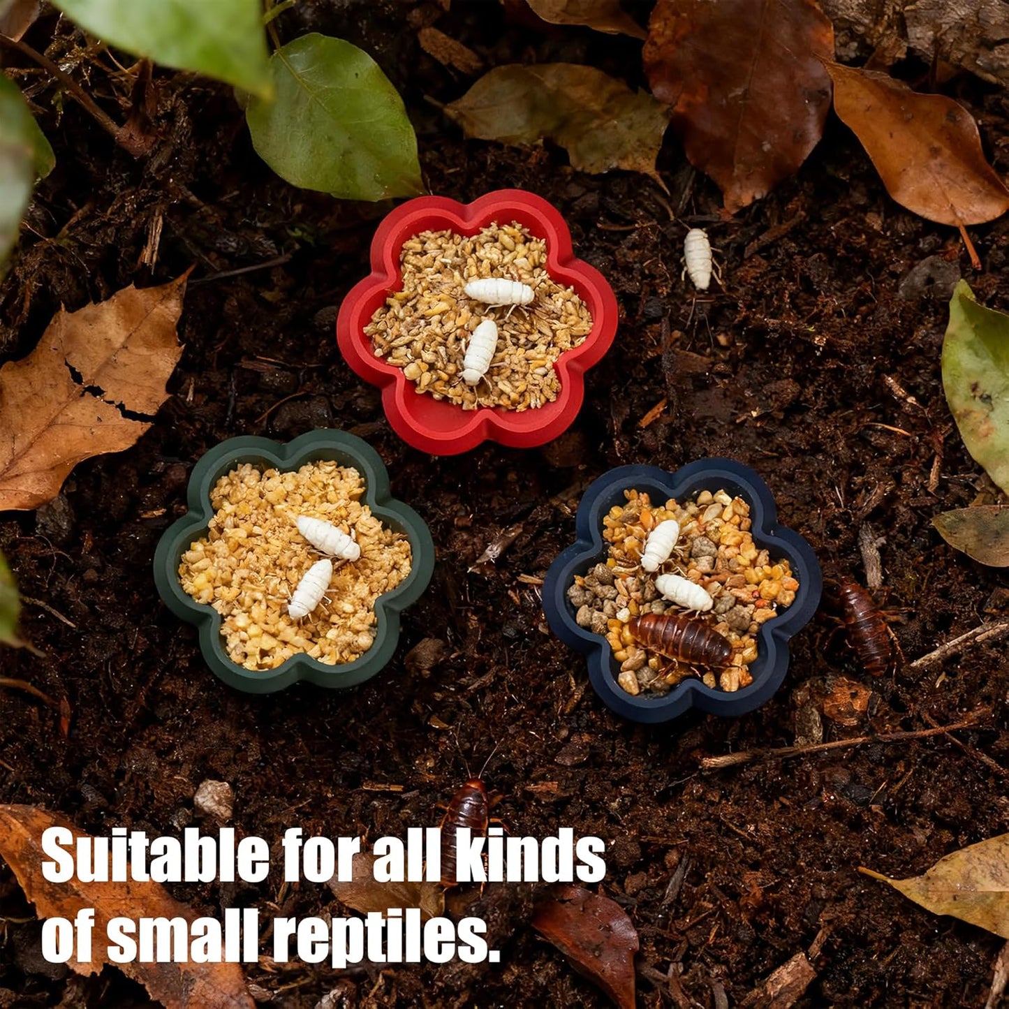 12-Pack Small Reptile Feeding Dish, Colorful Feeder Bowls for Dubia Roaches, Isopods, Springtails & Dwarf Invertebrates for Terrarium & Enclosure