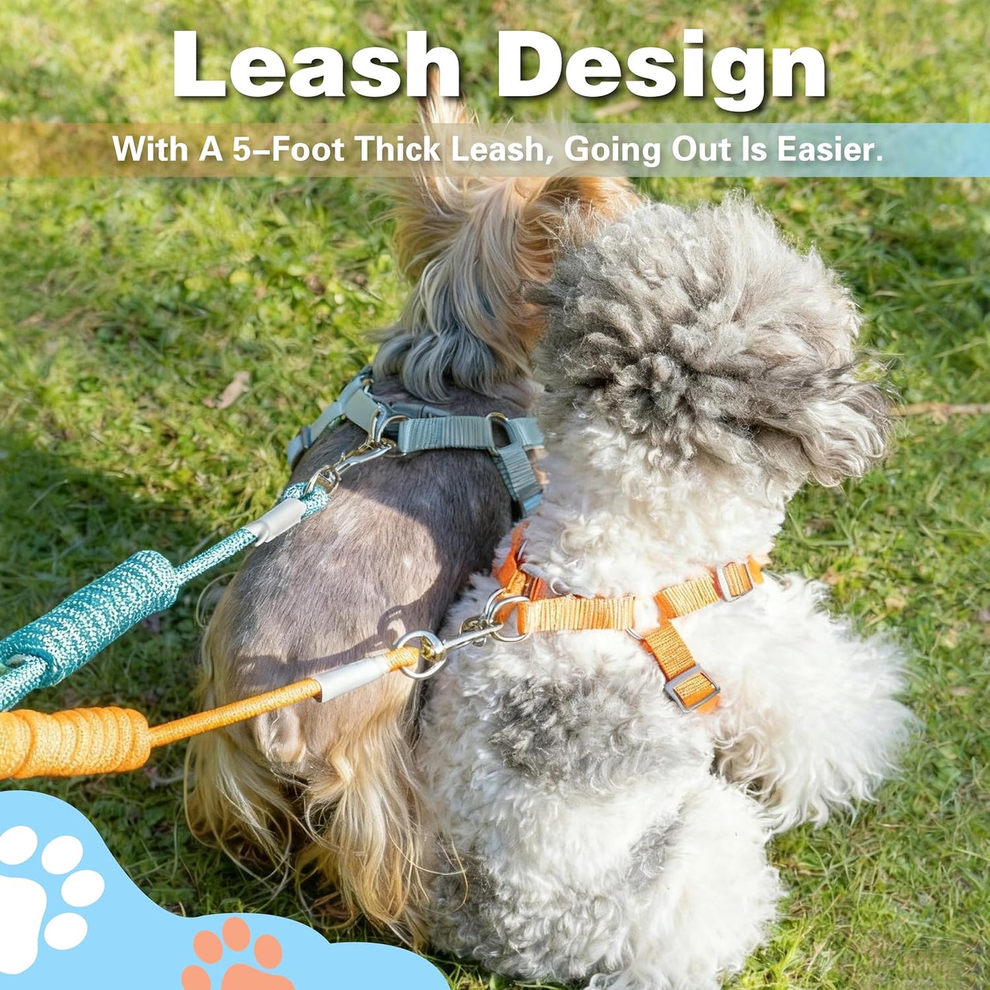 Dog Harness with Leash Set, Puppy Soft Vest No Choke No Pull, Adjustable Neck and Chest, Lightweight Harness and Anti-Twist Pet Leash Combo for Small to Medium Dogs (Pink, M-Medium)