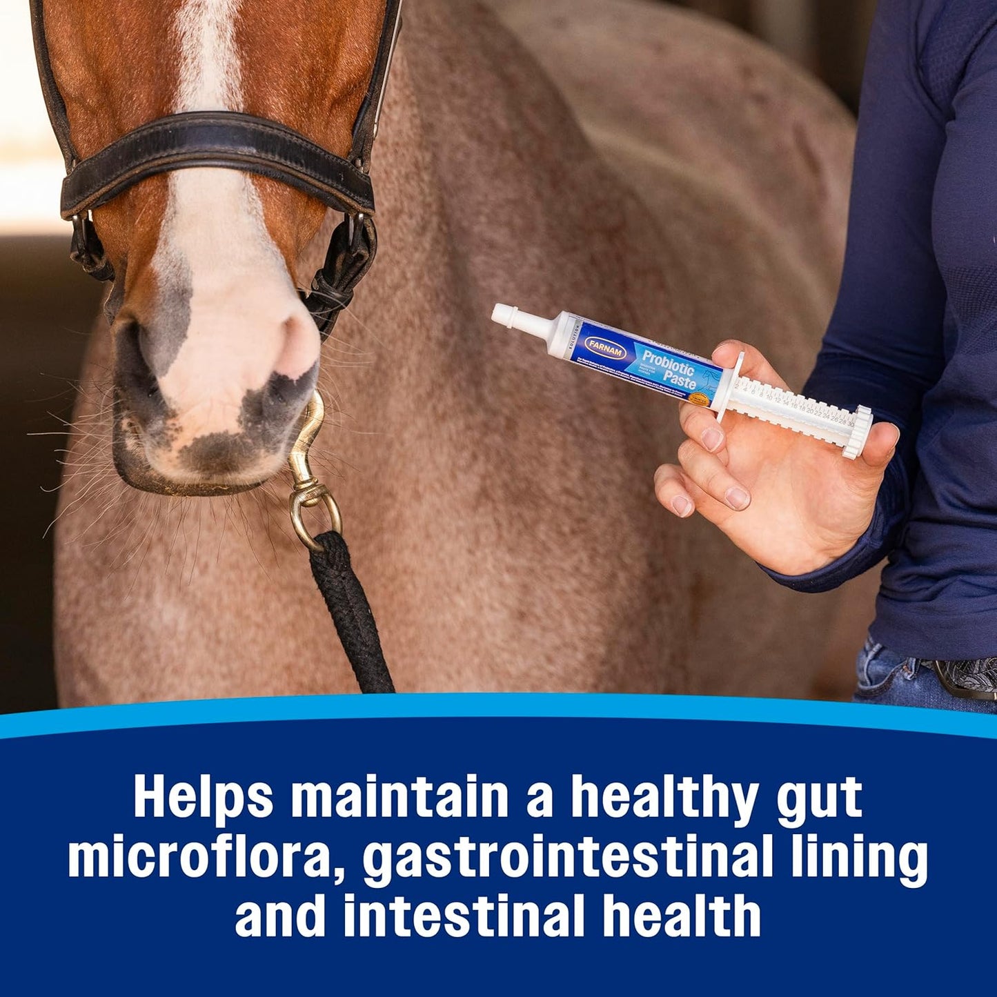 Farnam Probiotic Paste for Horses, Rapid Delivery Digestive and Immune Health Supplement Supports a Healthy Microbial Balance in Times of Stress