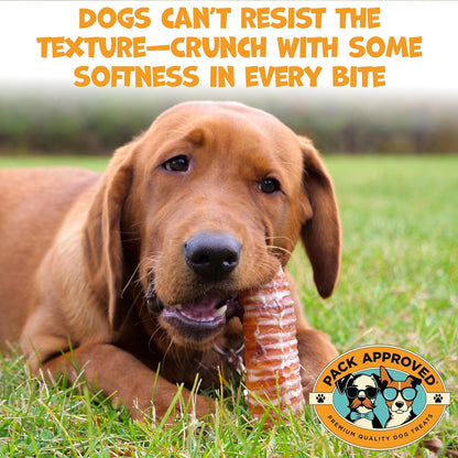 High Protein Single Ingredient Dog Treats Bundle - Chicken Chips & Beef Trachea