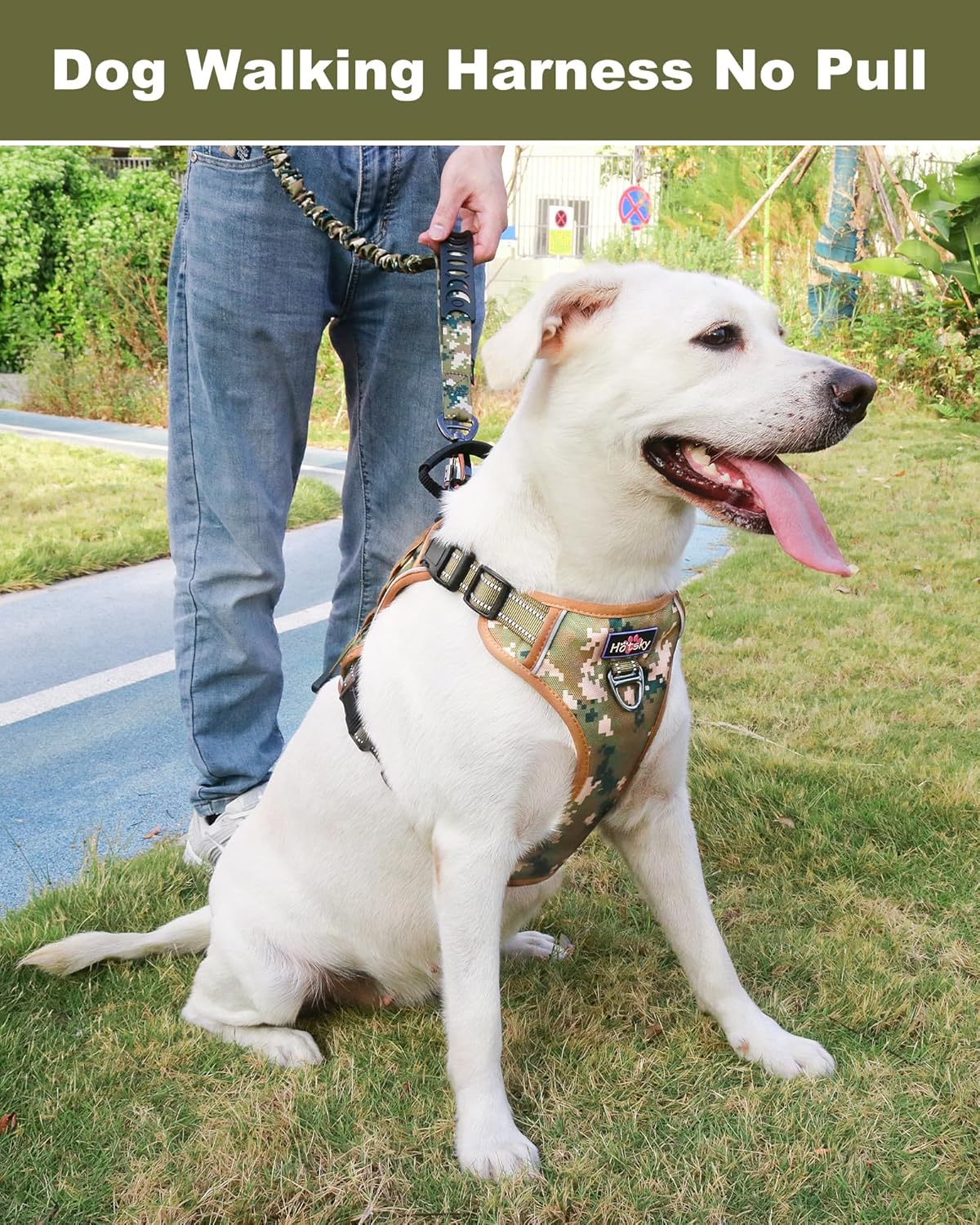 Hotsky Tactical Dog Seatbelt Harness for Medium Dogs No Pull, Adjustable Military Service Dog Vest Reflective Pet Harness with Control Handle Molle Loop Panels for Dogs Training Walking(Army Camo, M)