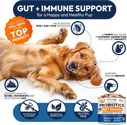 Probiotics for Dogs - 170 Dog Probiotics Chews - Digestive Enzymes & Prebiotics - Support Gut Health, Diarrhea, Gas & Constipation Relief - Itchy Skin, Allergies, Yeast Balance - Advanced Supplement