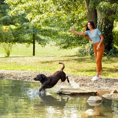 Nature’s Recipe Grain Free Chicken, Sweet Potato & Pumpkin Recipe Dry Dog Food, 24 lb. Bag