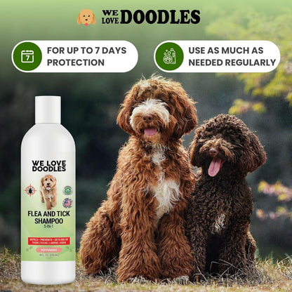 We Love Doodles Flea Shampoo for Dogs - Stops Fleas & Ticks for Dogs, Natural, Safe & Effective Lice Treatment, Soothing Shampoo for Sensitive Skin, Made in USA (8 fl oz)
