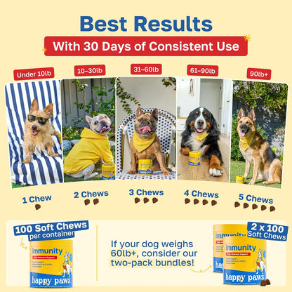 Happy Paws Turmeric Supplement for Dogs, Daily Wellness & Immunity Support for All Breeds & Ages, Made with Turmeric, Colostrum & Turkey Tail Mushrooms, Pumpkin Flavor, Non GMO, 100 Soft Chews