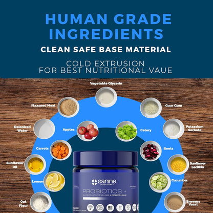 Probiotics for Dogs | Soft Chews with Digestive Enzymes, Pumpkin & Prebiotics | Supports Gut Health, Immunity, Stool Quality & Nutrient Absorption | Peanut Flavor, 90 Count