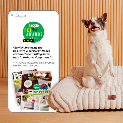 Bedsure Cute Cat Couch for Pets - Fluffy Cat beds with Premium Soft Corduroy Fleece, Fuzzy Cats beds for Indoor Cats with Removable Washable Cover, Supportive Pet Sofa, 24inch, Cream