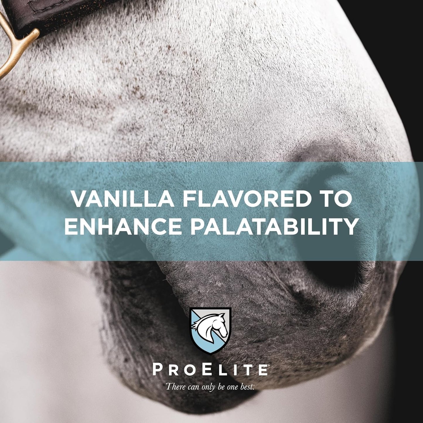 ProElite Topline Advanced Support, Topline Supplement for Horses, 2.2 lbs