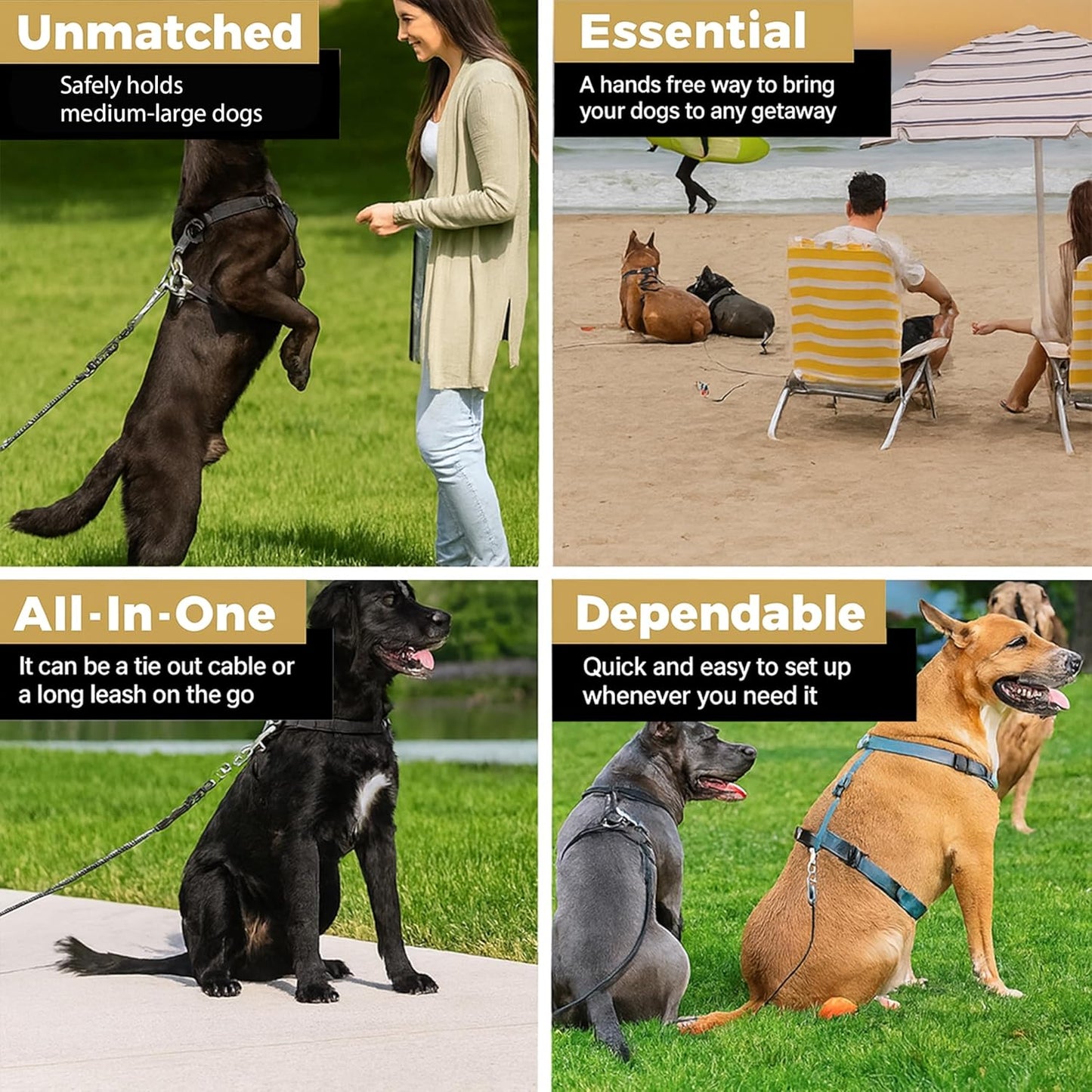 Heavy Duty Dog Tie Out Cable for Medium & Large Dogs up to 250lbs, 10/20/30/50/70/100ft Strong Steel Pet Leash for Outdoor Yard, Camping & Training (Lime Green, 30FT)