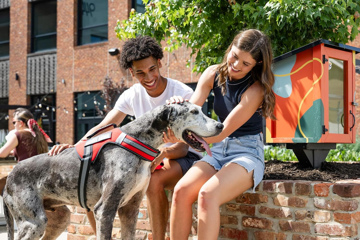 Support Pets The Only Official ESA™ Dog Harness – Adjustable No-Pull Dog Vest for Easy Pet Recognition with Reflective Straps – Soft, Padded & Comfortable for Training and Daily Use - XSmall