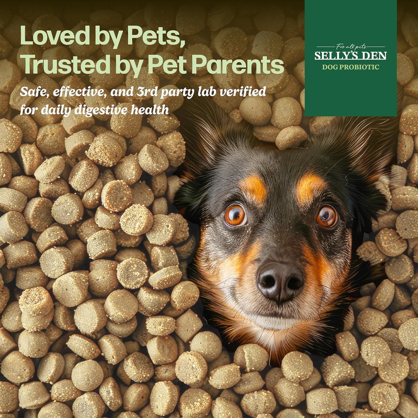 Selly’s Den Probiotics for Dogs Chicken Flavor Chew Supplement 6 Strain Blend Digestive & Immune Support Soft Chews with Enzymes, Prebiotics & Probiotics – Made in USA - 90 Count, 6.5 Oz