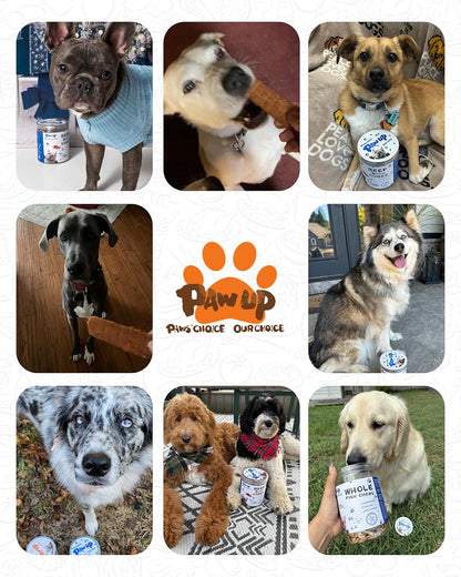 PAWUP Dog Treats, Smoked Salmon Fillet Jerky for Dogs, High-Protein Low-Fat Snacks with Omega 3–6 & Taurine for Skin and Heart Health, 12.5 oz (15-20 Count)