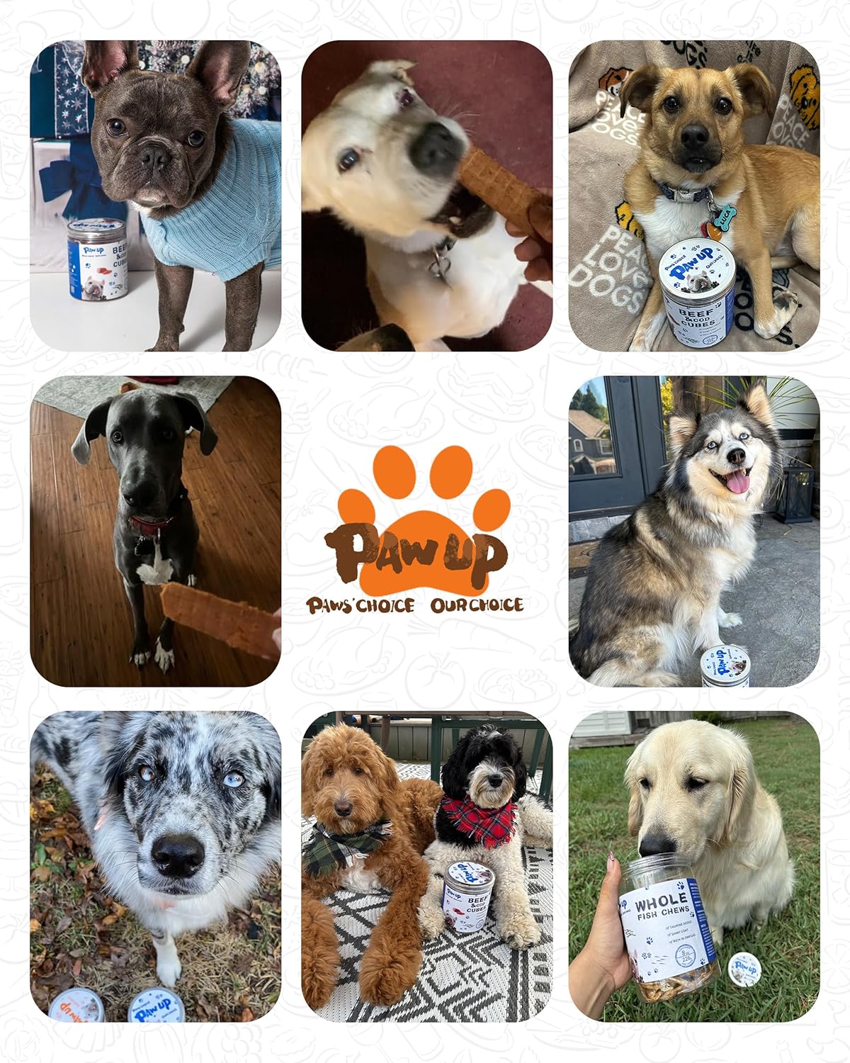 PAWUP Dog Treats, Smoked Salmon Fillet Jerky for Dogs, High-Protein Low-Fat Snacks with Omega 3–6 & Taurine for Skin and Heart Health, 12.5 oz (15-20 Count)