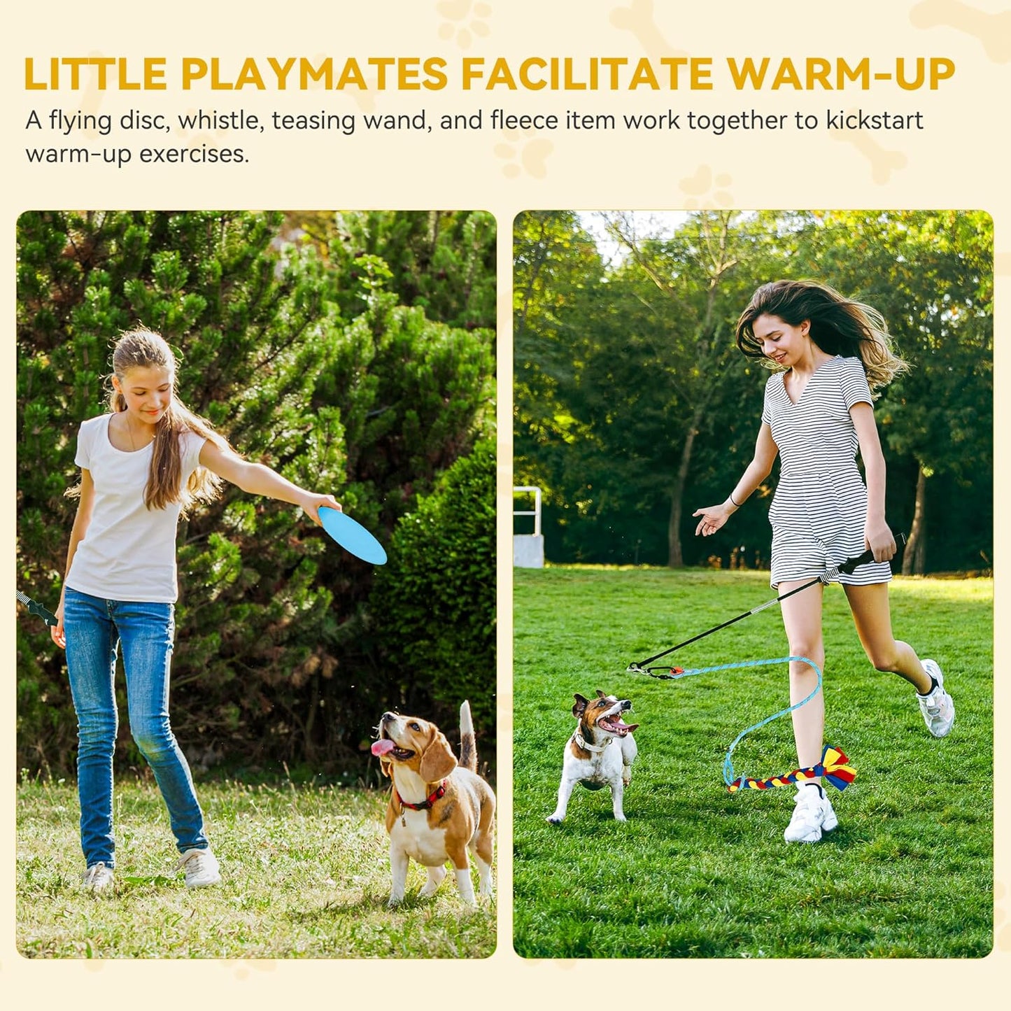 DWVO Dog Agility Accessories Kit: Comprises of a Teaser Pole, 2 Hurdles, 3 Flying Discs, 6 Weaving Poles, Agility Tunnel, Pause Box, Full Set of Agility Equipment for Backyard Indoors Outdoors