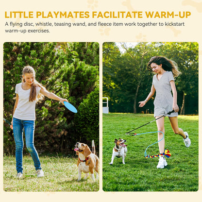 DWVO Dog Agility Accessories Kit: Comprises of a Teaser Pole, 2 Hurdles, 3 Flying Discs, 6 Weaving Poles, Agility Tunnel, Pause Box, Full Set of Agility Equipment for Backyard Indoors Outdoors