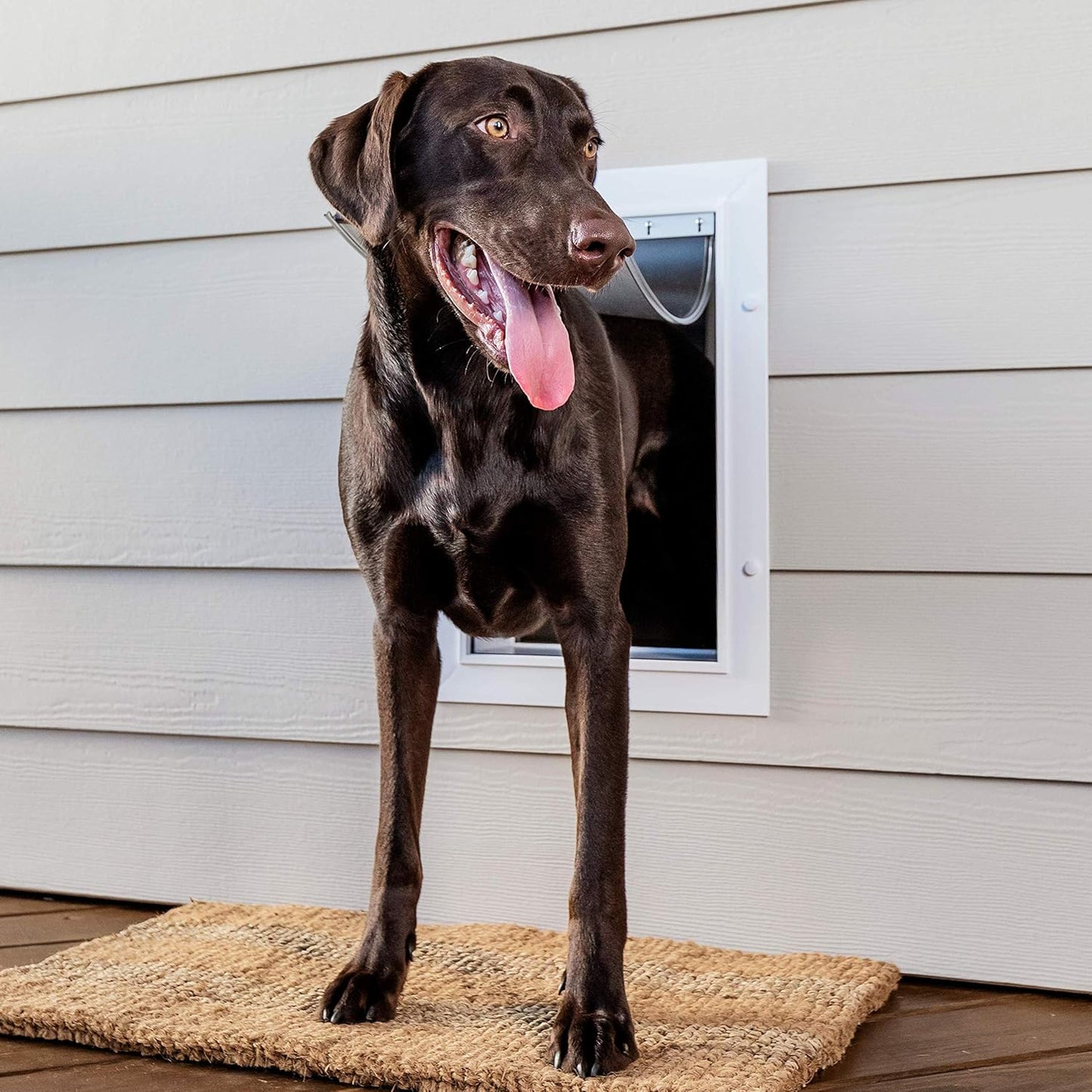 PetSafe Wall Entry Pet Door - Rust-Free Telescoping Frame - Easy Install for Interior & Exterior Walls 4 3/4" - 7" Thick - Large - for Pets Up to 100 Lb
