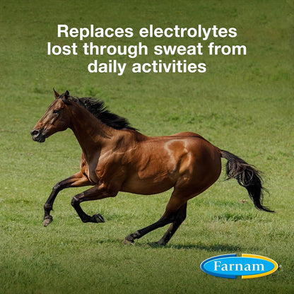 Farnam Apple Elite Electrolyte Supplement for Horses, Replaces Vital Minerals, Encourages Hydration, No Added Sugar, 20 Lbs., 160 Day Supply