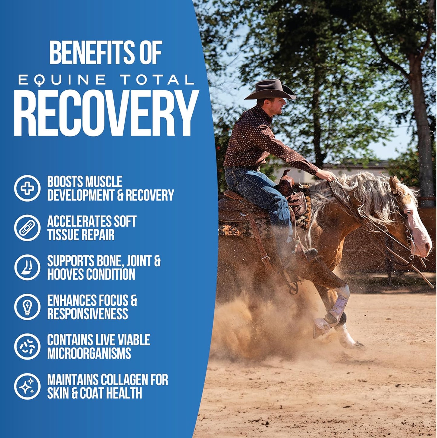 Equine Total Recovery Horse Supplement - 9 Equine Amino Acids Plus Probiotics for Horses -100% Natural- No Added Sugar, No Soy, No Fillers - Horse Joint Support Supplement (100 Servings)