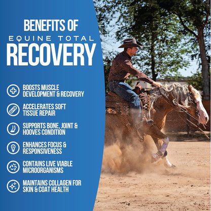 Equine Total Recovery Horse Supplement - 9 Equine Amino Acids Plus Probiotics for Horses -100% Natural- No Added Sugar, No Soy, No Fillers - Horse Joint Support Supplement (100 Servings)