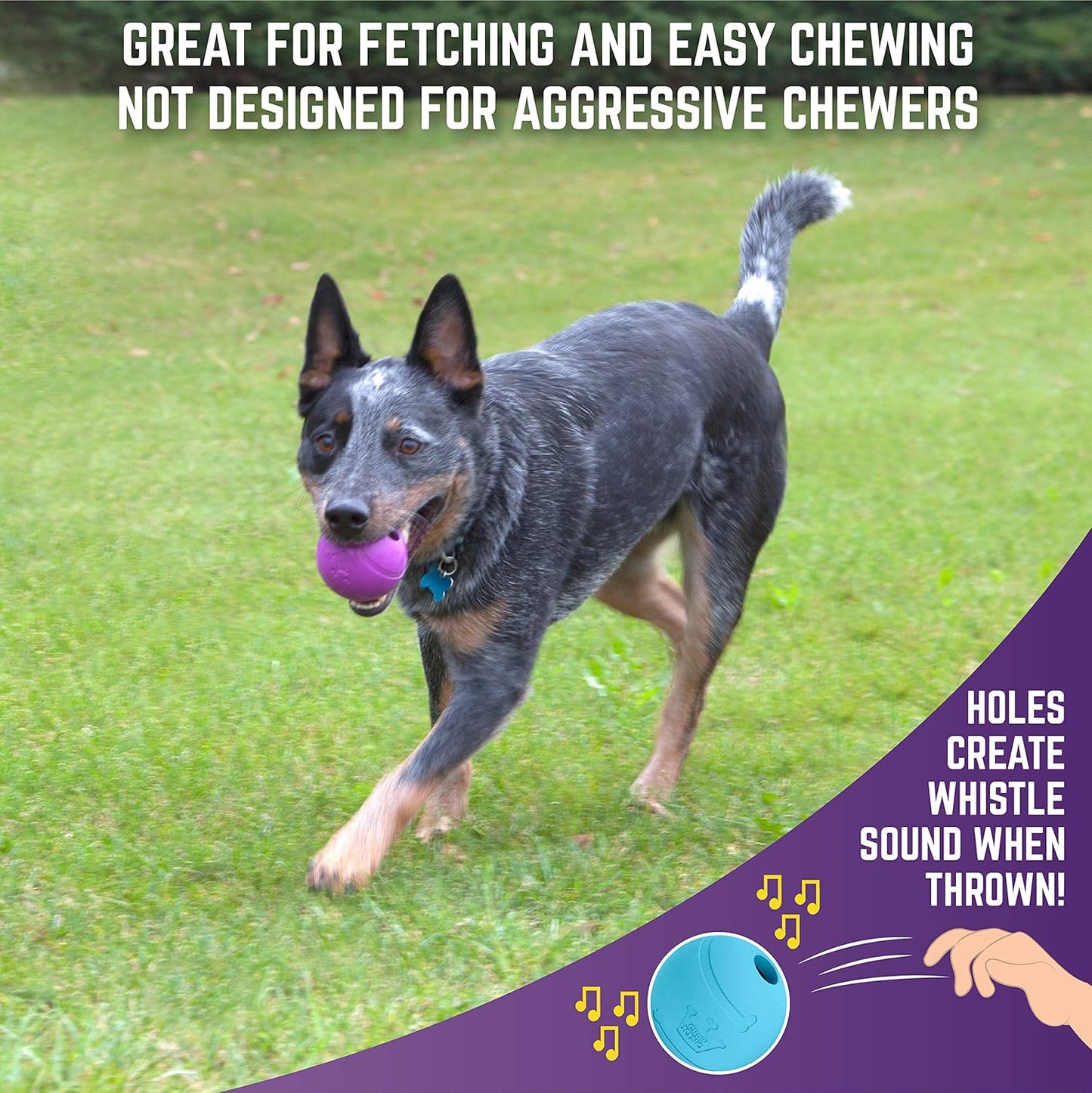 Chew King Fetch Balls Extremely Durable Natural Rubber Toy Pack of 3 - 3 inch Balls (CM-0263-CS01)