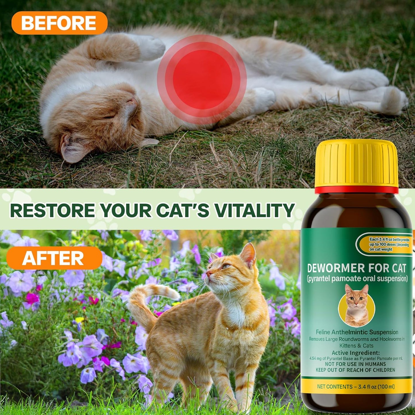 Liquid Dog & Cat Dewormer for All Wormers, Pyrantel Pamoate, Roundworms & Hookworms