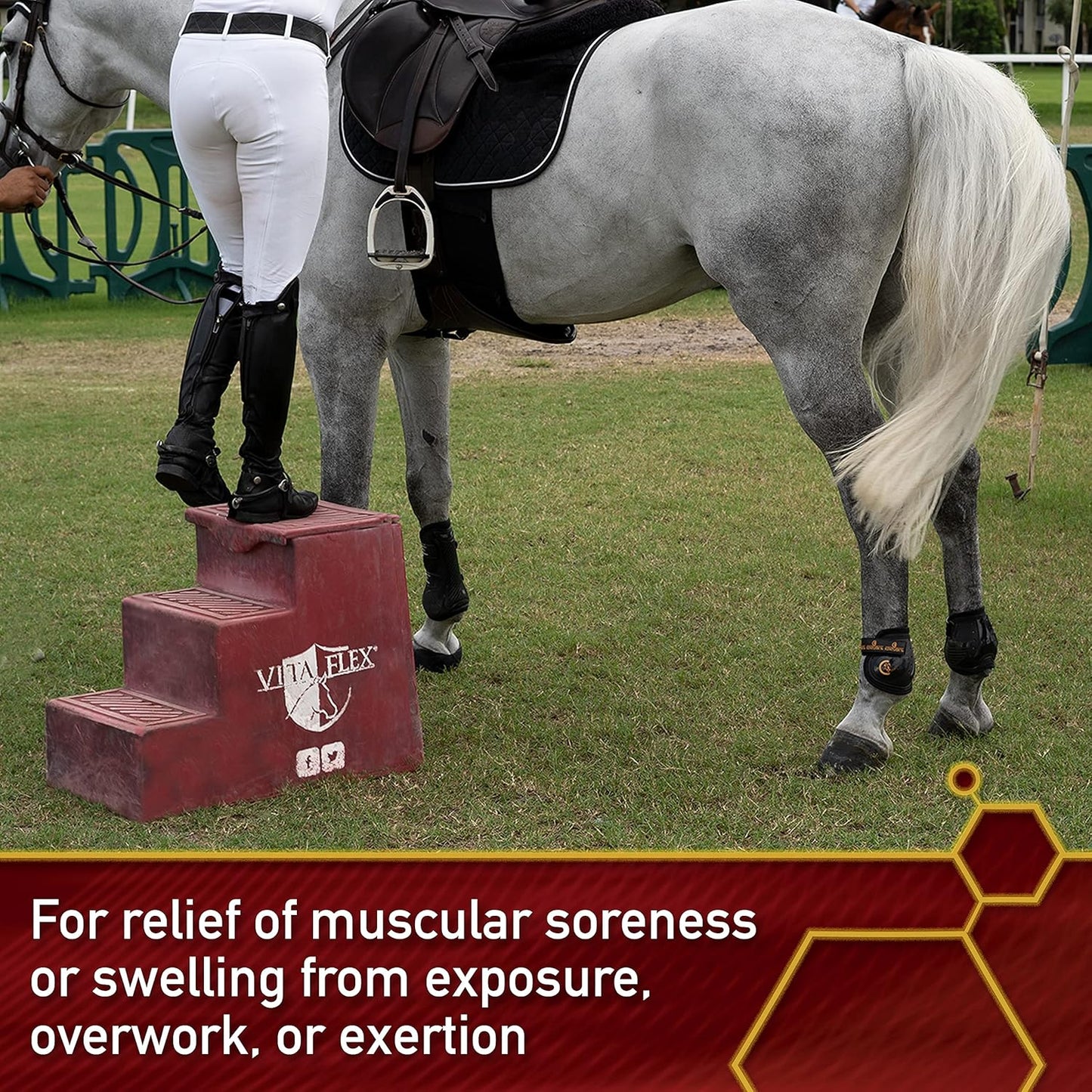 Vita Flex Thermaflex Liniment Gel for Sore Muscles and Joint Relief in Horses 12 Fluid Ounces (Pack of 2)